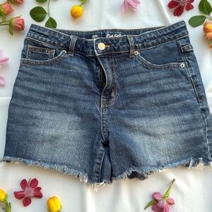 Cat & Jack Blue Casual Denim Shorts